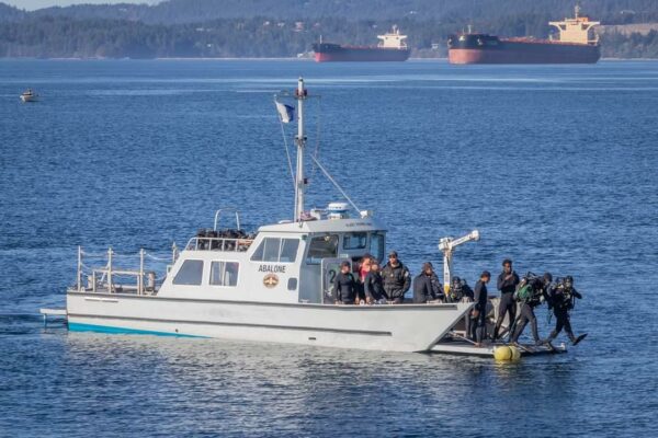 Ships Diver Course entering water at Ogden Point Breakwater
